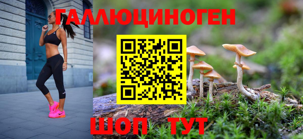 Морозовск  Псилоцибиновые грибы ЛСД  Вход с VPN  Галлюциногенные грибы прущие грибы 